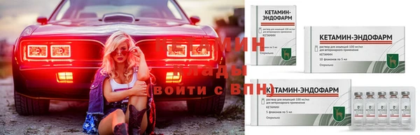 хмурый Аркадак