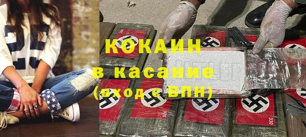 хмурый Аркадак