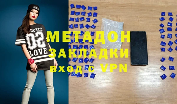 хмурый Аркадак