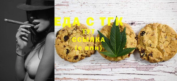 хмурый Аркадак