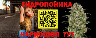 spice Коммунар