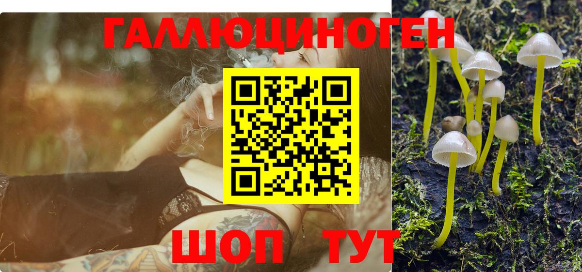 Лесной  Галлюциногенные грибы Cubensis  Вход с VPN  Псилоцибиновые грибы Cubensis 
