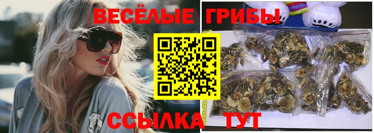 APVP Лесной