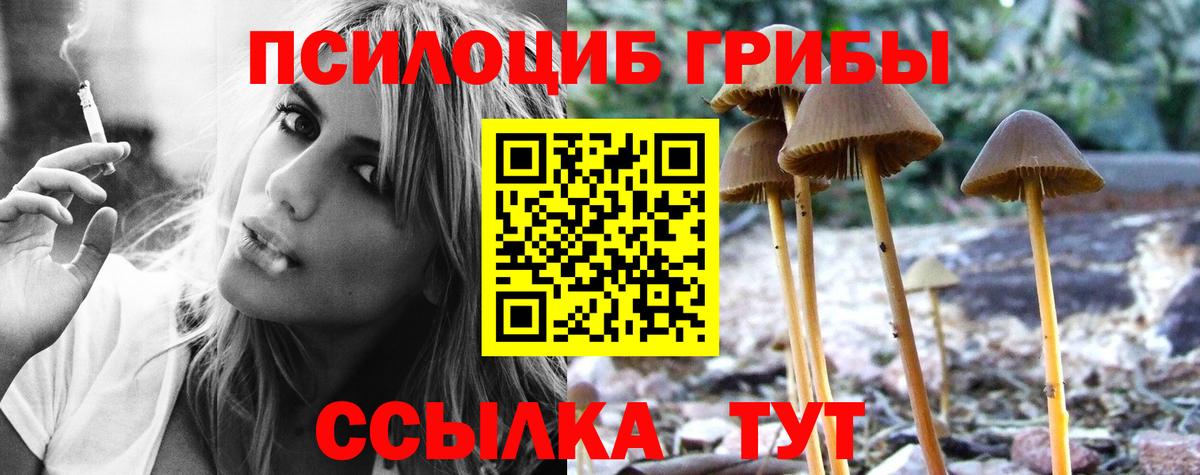 Галлюциногенные грибы ЛСД Лесной