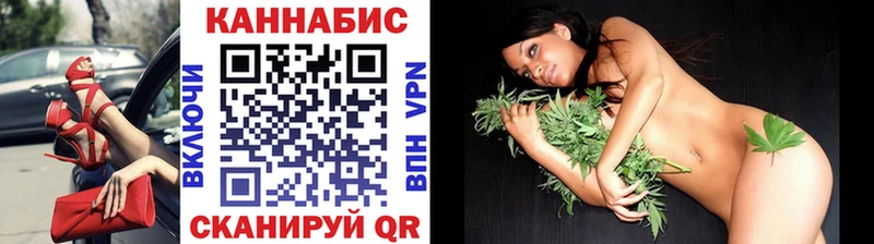 Канабис планчик Лесной